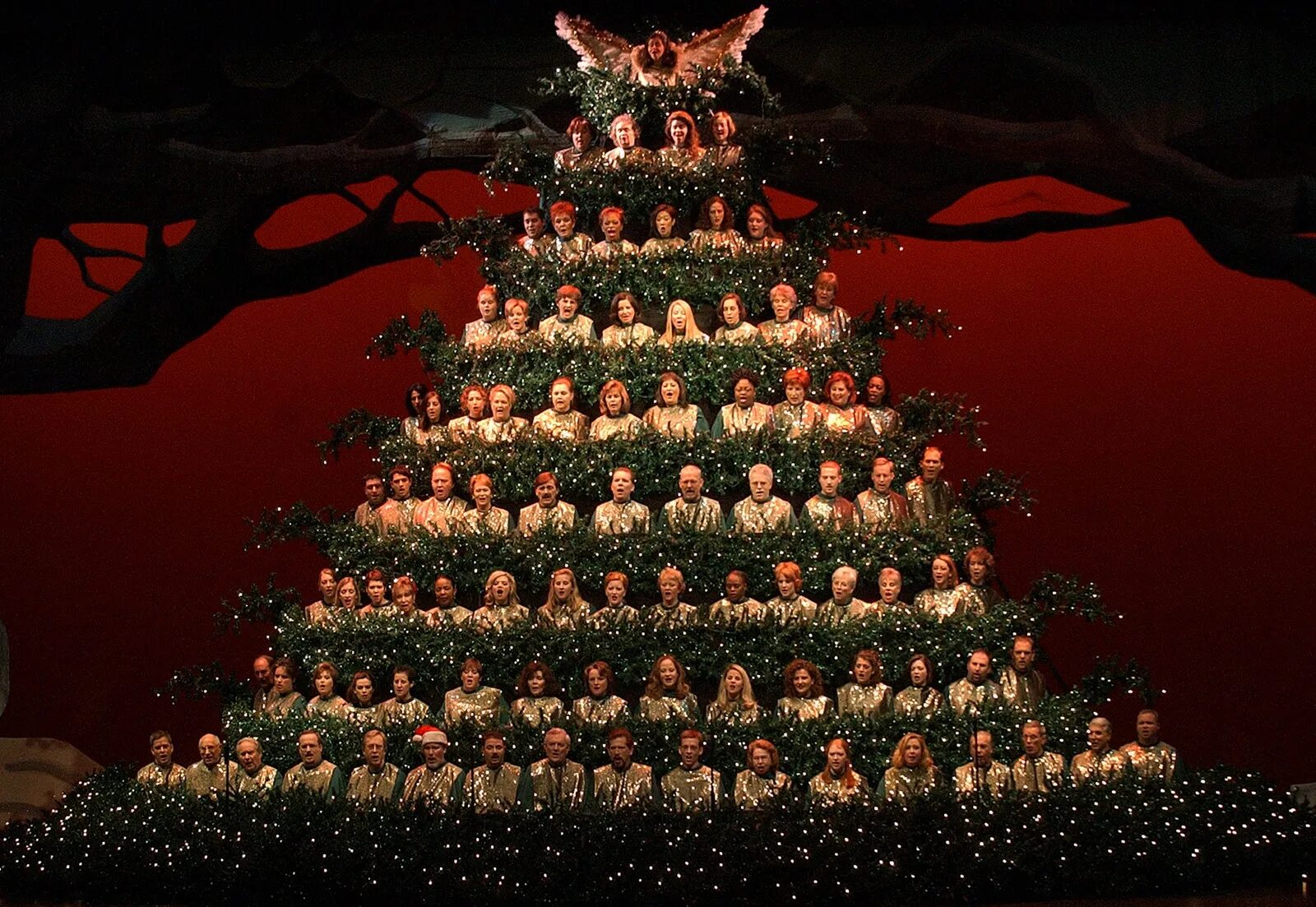 Новогодняя елка из ада. Singing Christmas Tree. Portland singing Christmas Tree. Christmas Tree is Tall