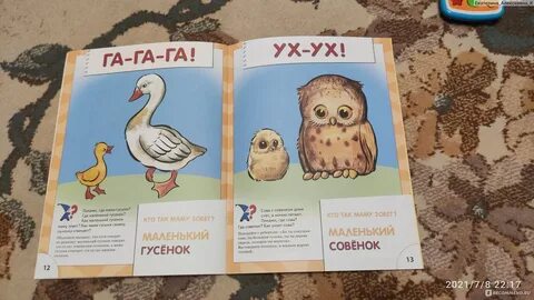 Совушка сова большая голова