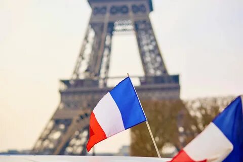 Французский язык в бельгии