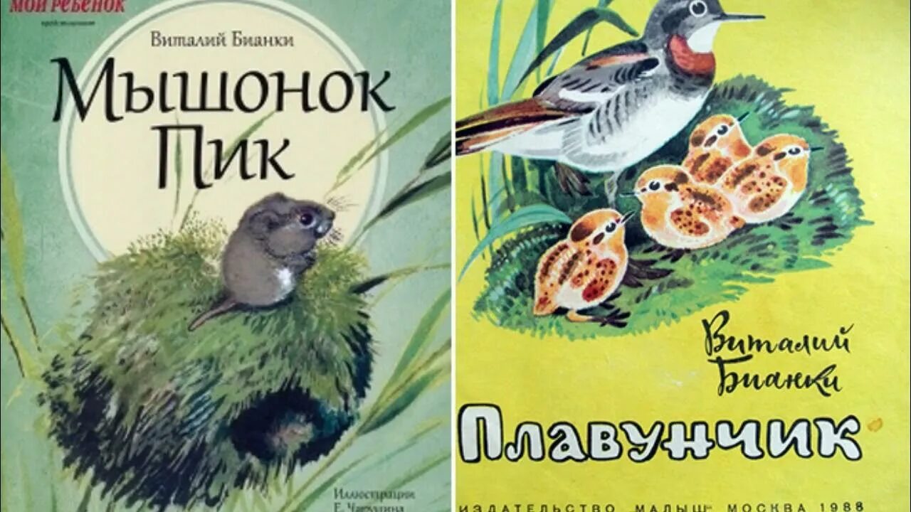 Книга Рыбий дом. Сказка * Бианки В. - купить книгу по низкой цене, читать отзывы