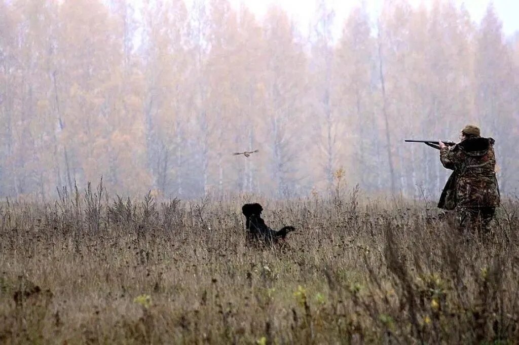 Незамеченные охотниками