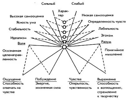 Варианты ответов маятника