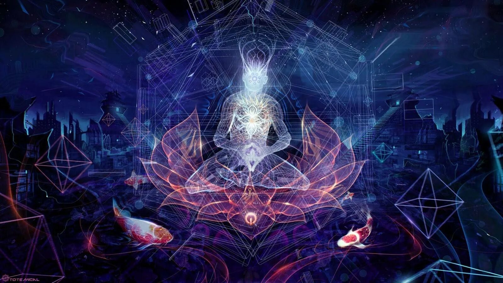 Книги о церкви как о теле христовом авторы. Сердечная чакра анахата. Практика видение. Исцеляющая медитация ливанда нервной системы. Единение тела и души.