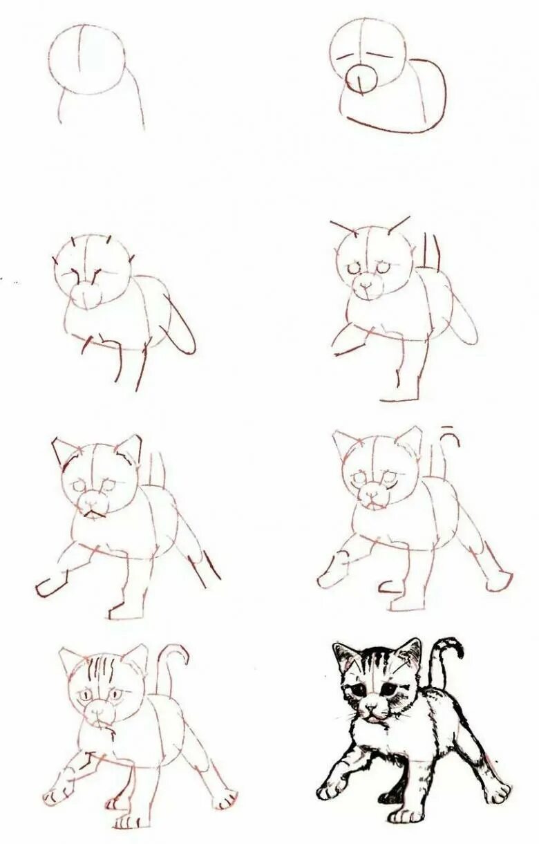 Как научиться рисовать котика. Как научиться рисовать котика