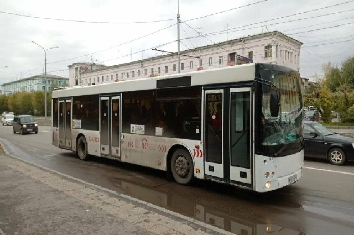 Общественный транспорт Красноярск. Красноярский автобус. Новые автобусы в Красноярске. Новый транспорт. Сайт транспорт красноярск