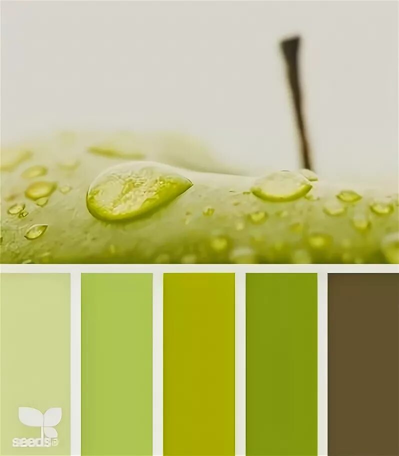 Nature Tones Design seeds, Design seeds color palette, Seeds color