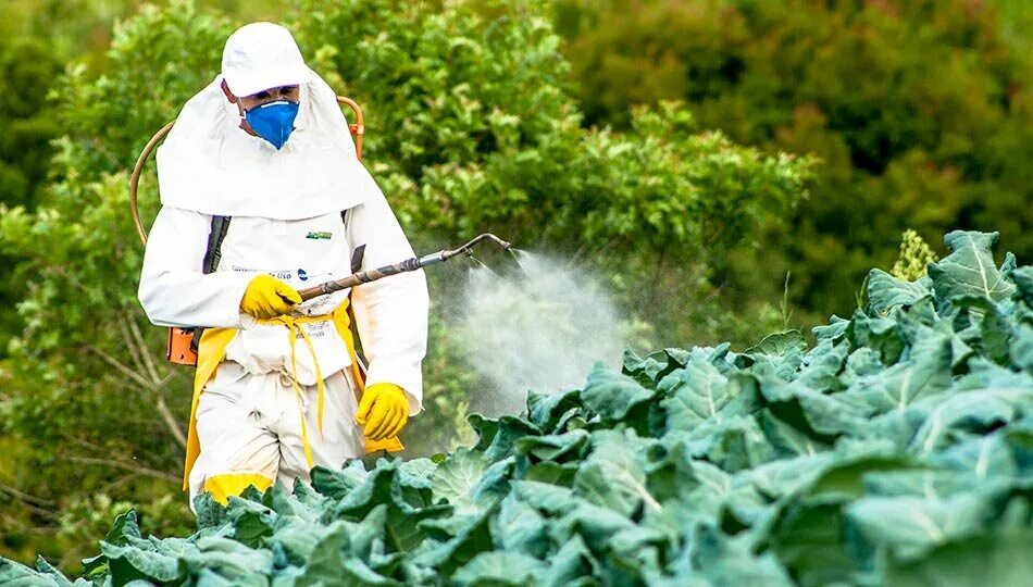 Пестициды. Пестициды и гербициды. Загрязнение почвы пестицидами. Пестициды ядохимикаты.