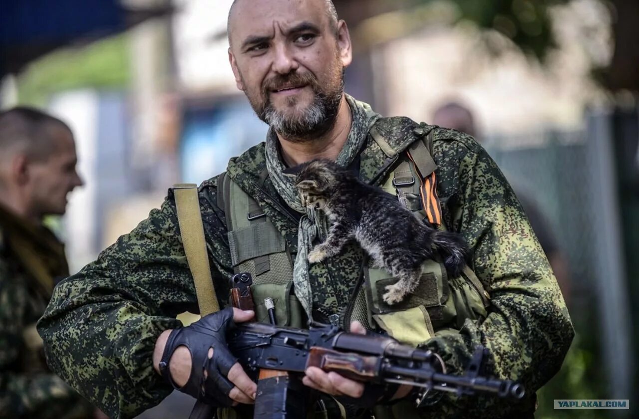 Днр фото. Ополчение Донбасса 2014. Ополченцы Новороссии 2014. Ополченцы Донбасса Донбасса 2014. Бойцы ополчения Донбасса.