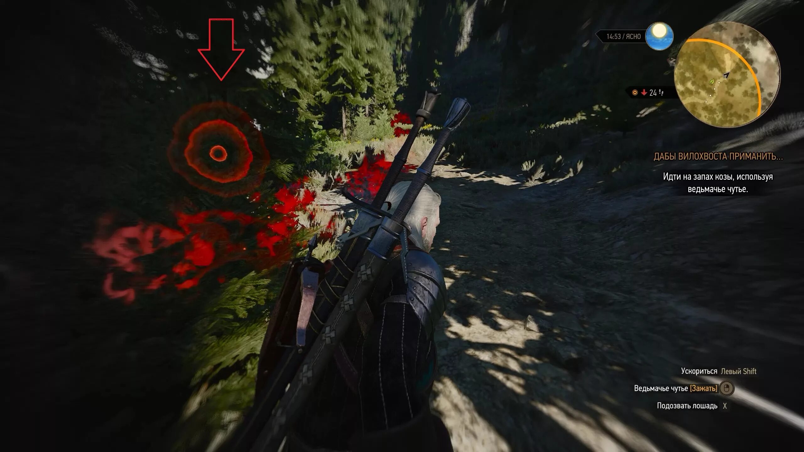 Эскеле ведьмак 3. Ведьмак 3 вилохвост на карте. Ведьмак 3 каэр морхен квесты. Дабы вилохвоста приманить. Поискать следы эскеля рядом с его жеребцом ведьмак 3.