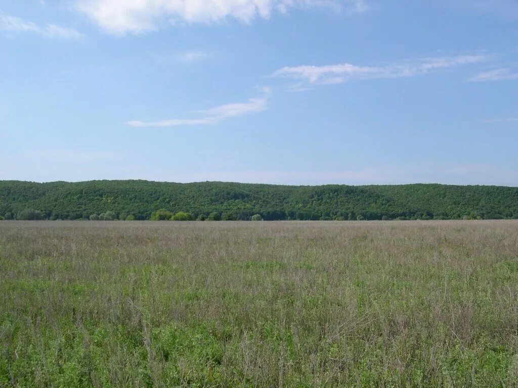 Кузьмищево тарусский