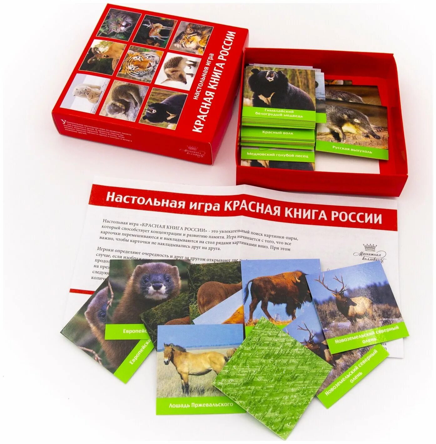 Лэпбук по красной книге. Настольная игра красная книга. Интерактивная игра красная книга. Красная книга кузбасса животные лосось. Интерактивная игра красная книга.