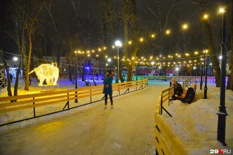 Каток петровское