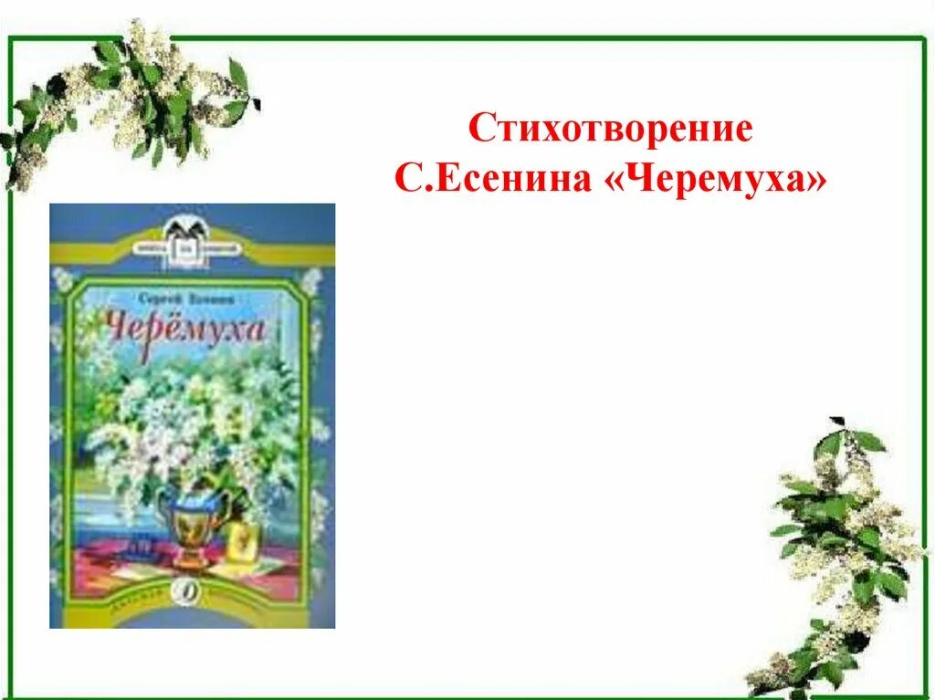 Стихотворения черемуха есенин 3 класс. Есенин черемуха 3 класс. Черемуха Есенин стихотворение. Олицетворение в стихотворении черемуха Есенина.