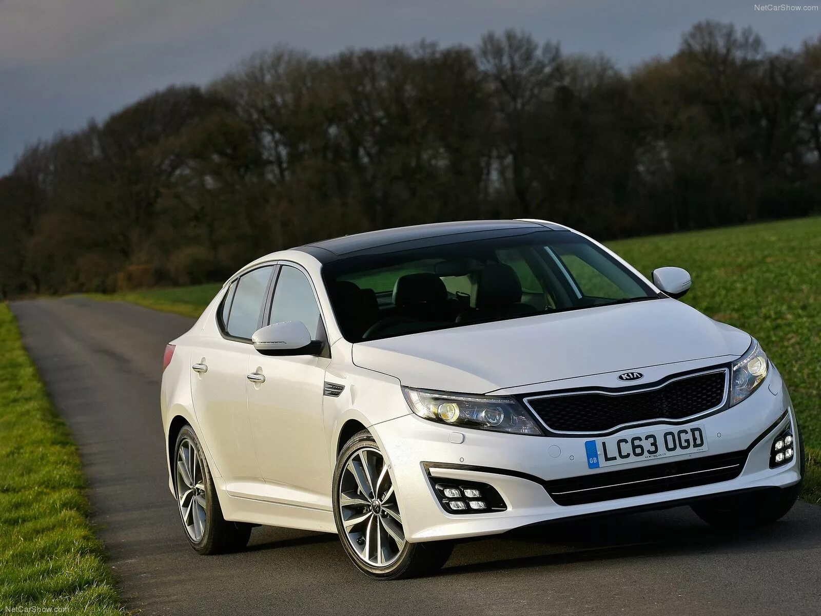 2014 Kia Forte EX Beauty Right Done Small : Automotive Addicts