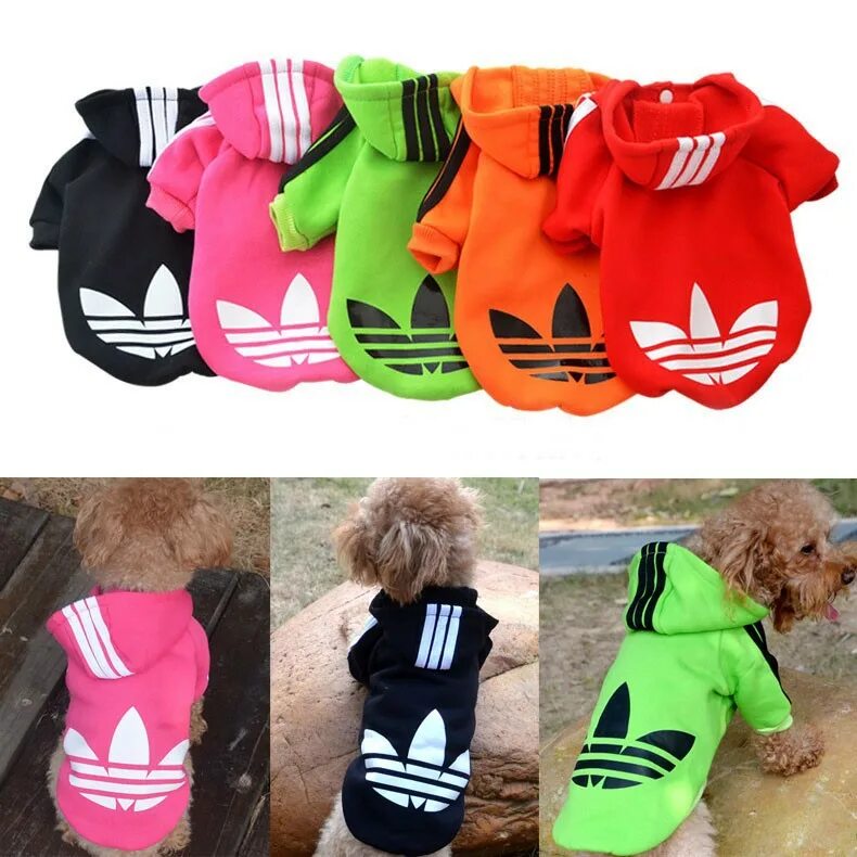 одежда для собак садовод. рынок одежды для животных. гончими костюмы. одежда для собак на рынке садовод. джеки дог жилет 6xl черный для собак.