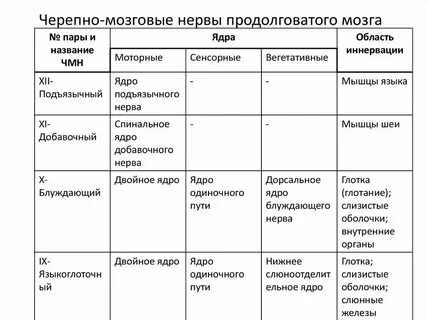 Черепные ядра таблица