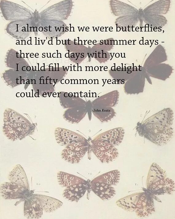 Three summer days. John Keats цитаты. Цитаты про бабочек. Афоризмы про бабочек. Джон Китс цитаты на картинках.