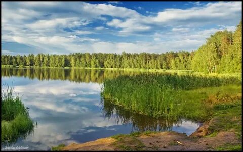 Озера родного края