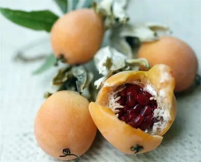 Mysterious fruit
