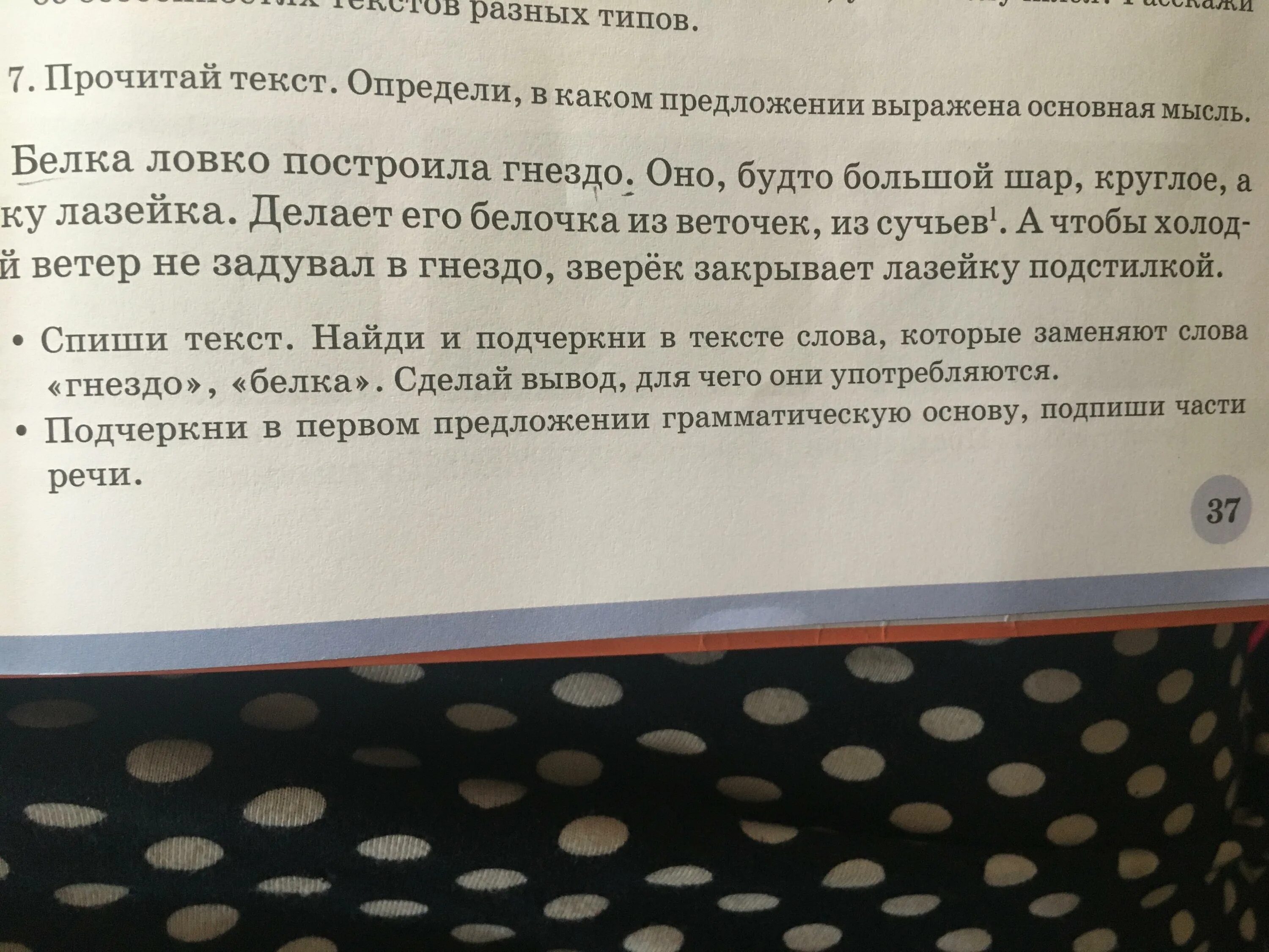 Основная мысль текста как узнать возраст рыбы. Прочитайте в каком предложении выражена основная мысль. предложении выражена главная мысль. прочитайте в каком предложении выражена главная мысль. прочитайте. в каком предложении выражена основная мысль текста?.
