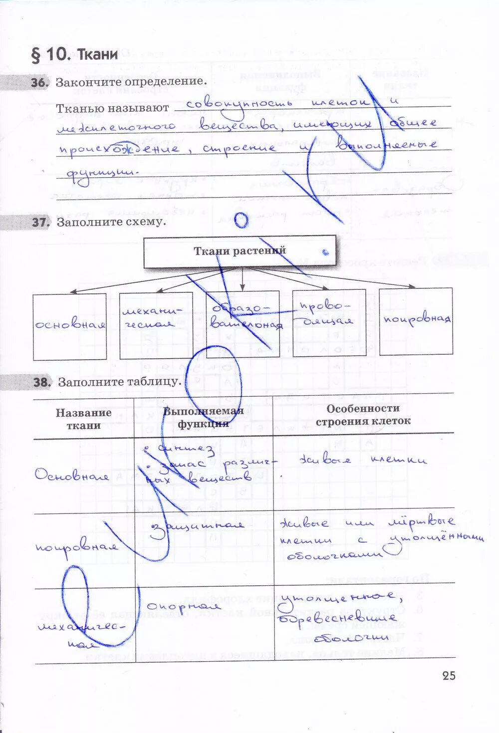 Р т стр 25. Биология тетрадь 5 класс тетрадь Пасечник. Рабочая тетрадь по биологии 5 класс Пасечник 25 задание. Биология 5 класс Пасечник рабочая тетрадь задание.