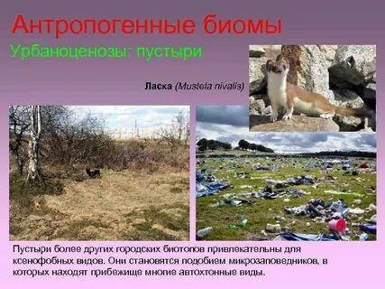 Антропогенные системы
