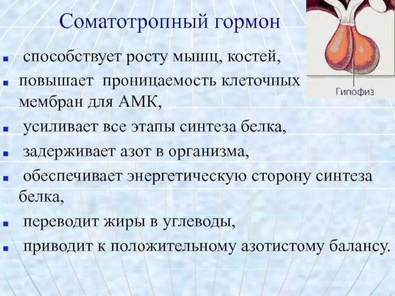 Какой гормон способствует. Соматотропный гормон повышает проницаемость клеточных мембран для. гормон способствующий росту мышц. гормон мышечного роста. соматотропный гормон функции.