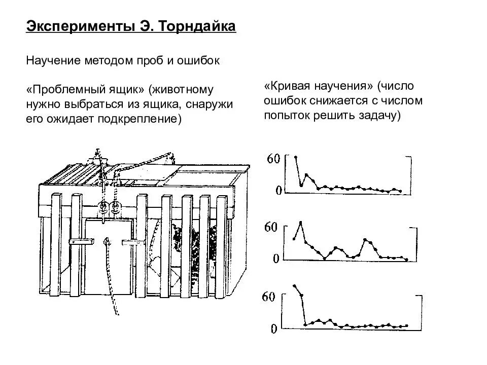 Опыт и научение. Э. Торндайк психология научения. Схема проблемного ящика Торндайка.