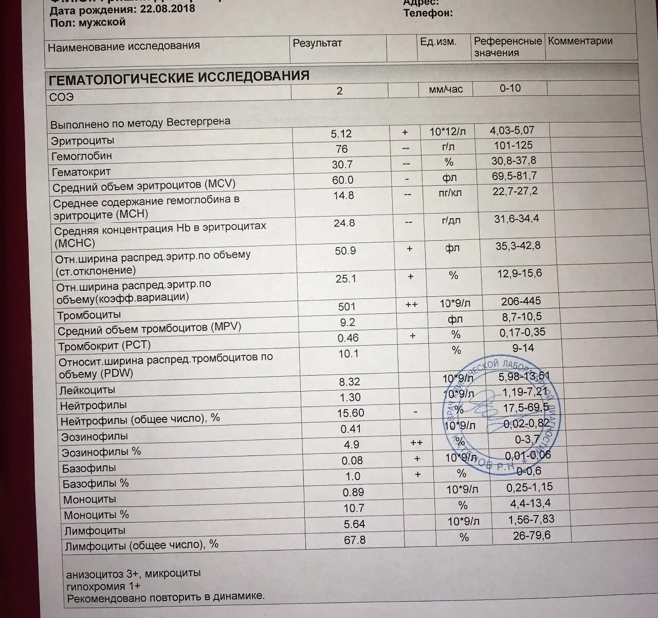 Микроциты повышены. Анизоцитоз и гипохромия в общем анализе крови. Гипохромия в общем анализе крови. Гипохромия в общем анализе у ребенка. Гипохромия в общем анализе крови у женщин.