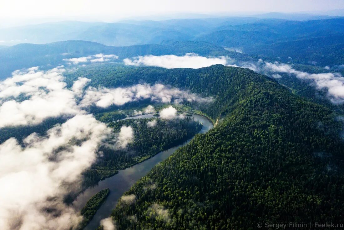 Туманы маны. Красноярские столбы туман. Мана река сверху. Туманы маны. Урман мана река.