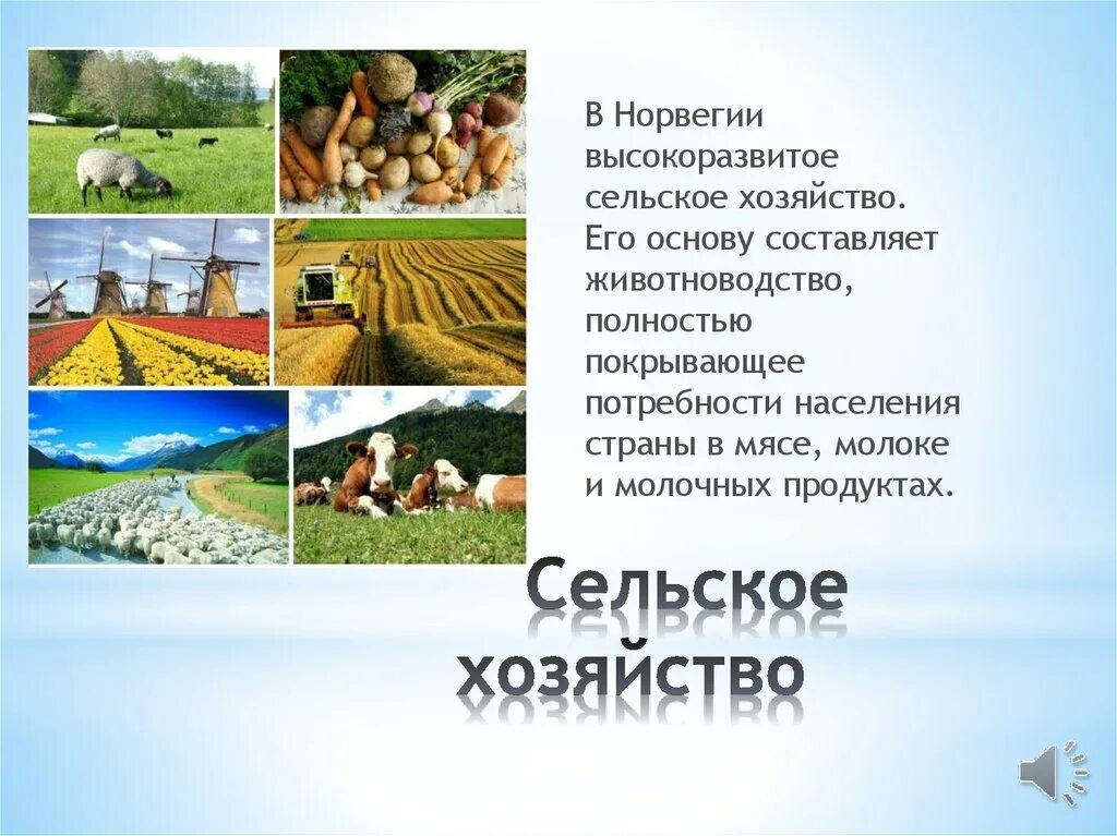 Специализация норвегии. Отраслевая структура экономики норвегии. Структура хозяйства норвегии. Специализация хозяйства норвегии. Специализация хозяйства норвегии.