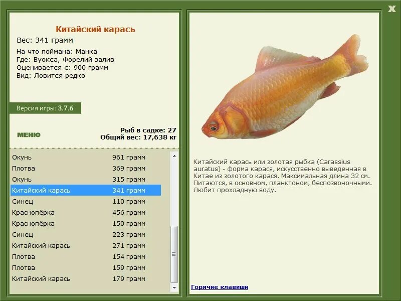 Русская рыбалка 3 золотая рыбка. Красный карась максимальный вес. Золотой карась максимальный размер. Максимальный вес карася. Карась 900 грамм.