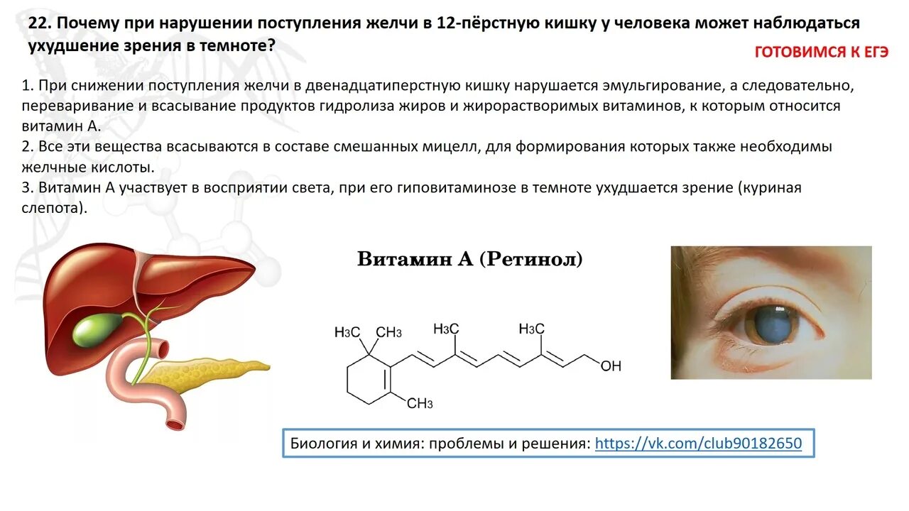 Время выброса желчи