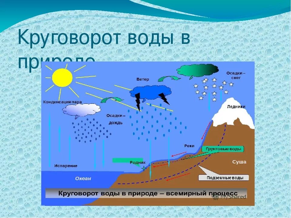 Круговорот воды в природе 5 класс биология. Процессы в мировом круговороте воды в природе. Круговорот воды география 5 класс. Круговорот воды в природе биология 10 класс. Круговорот реки