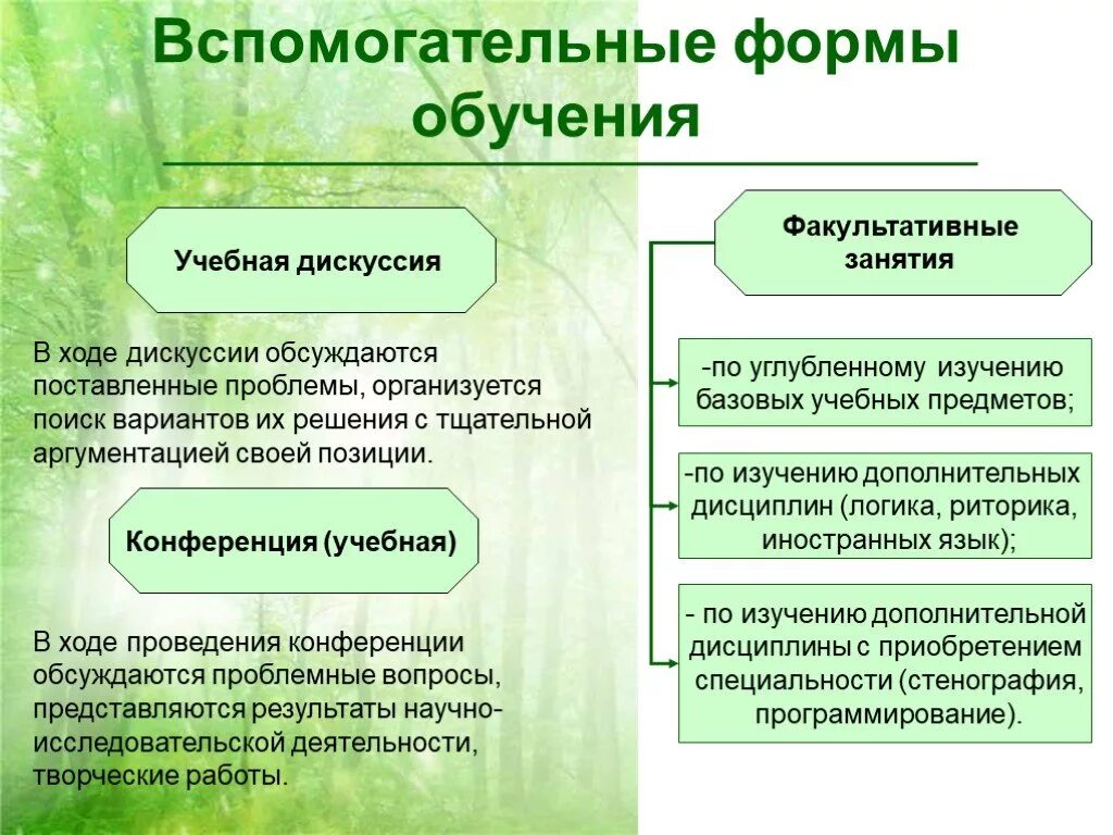 Урок как основная форма обучения в школе. Дополнительные формы организации обучения. Дополнительные и вспомогательные формы обучения в педагогике. Вспомогательные формы организации обучения. Организационные формы обучения.