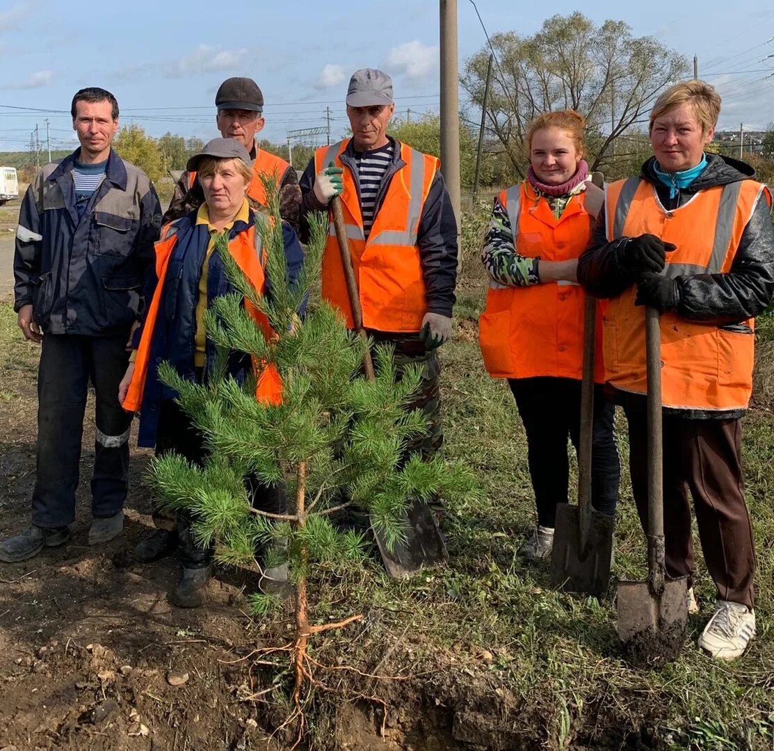 директор мордовэнерго саранск. услуги электрика  в рузаевке мордовской. электросети логотип. сергеев юрий иванович мордовэнерго. рузаевский рэс.