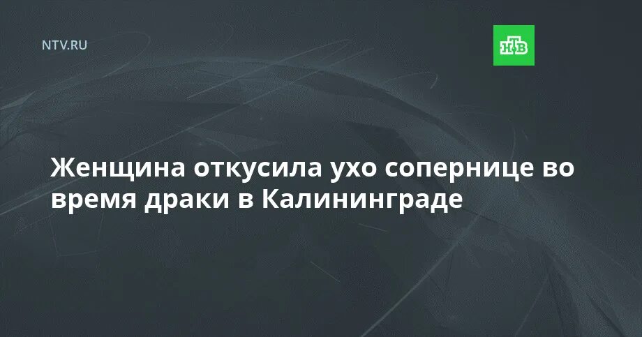 Бой соперниц. Bellator in machina. Бой соперниц. Чемпионка bellator liz carmouche. Бой соперниц.