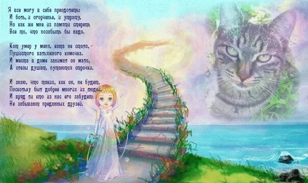 Она всегда была кошкой. Стих про животных на радуге. Стихи кошкам ушедшим на радугу. Коты уходят на радугу стихи. Стихи о котах которые ушли.