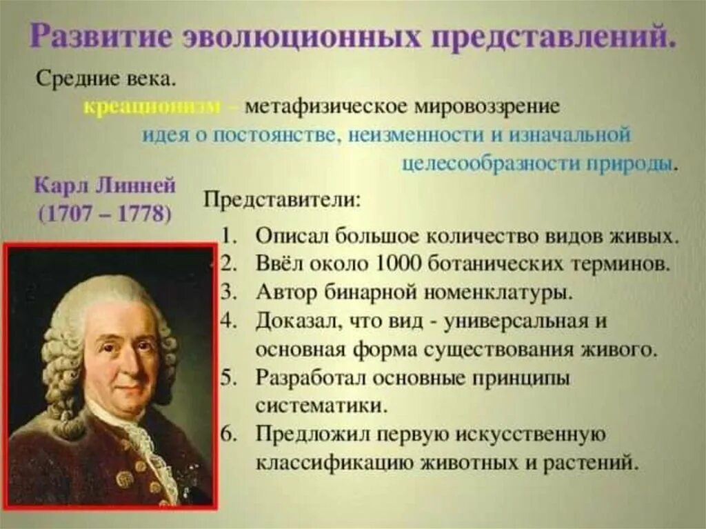 Происхождение видов развитие эволюционных представлений. Развитие эволюционных представлений линней. Этапы развития эволюционных представлений. Развитие эволюционных представлений. Понятие эволюции.