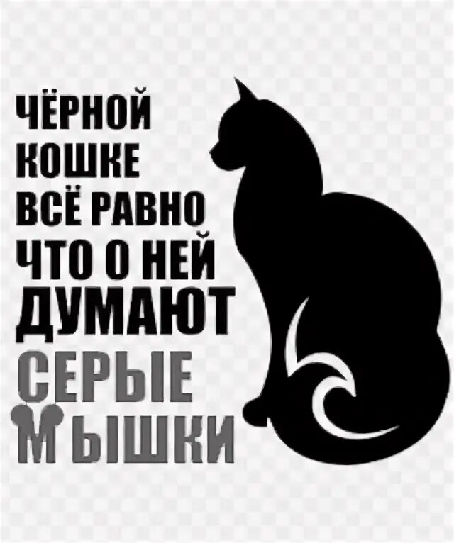 Не важно что за спиной у кисы. Черной кошке все равно что о ней думают серые мыши. Чёрной кошке всё равно что о ней думают. Картинки черной кошке все равно что о ней думают серые мыши. Кошке плевать что о ней думают серые мыши.