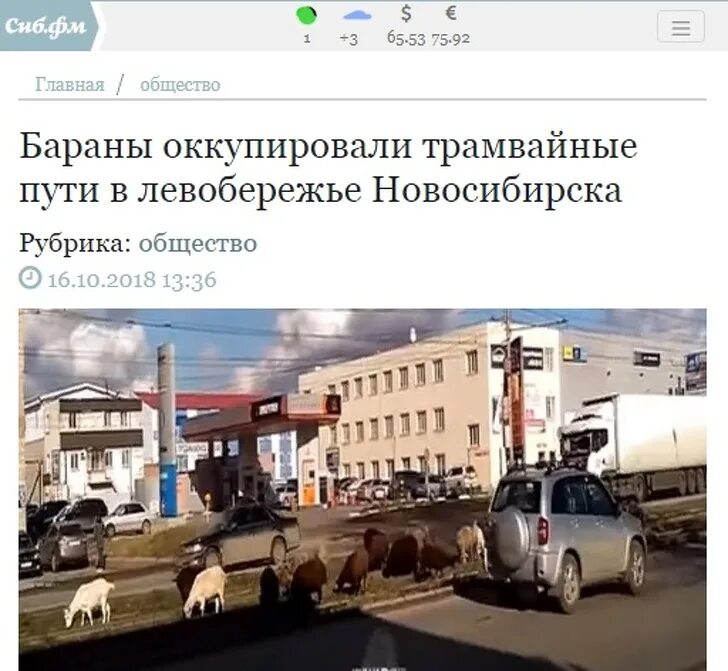 30 заголовков. Денис каплунов. @nastavnik30:название " говнофильм 2021". Журналистские перлы. Афиша спецпроект.