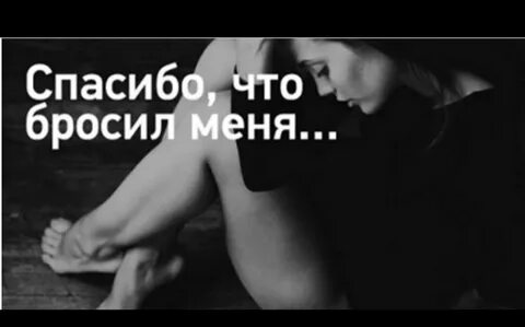 Как пережить расставание? Может так... Зина в корзине и ее беседка Дзен