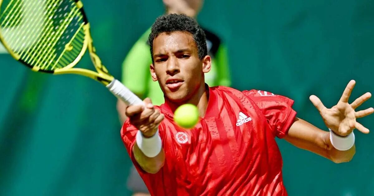 Феликс оже аляьсим. Феликс оже-альясим. Оже альяссим гренье. Оже гранд. Оже альясим норрис.