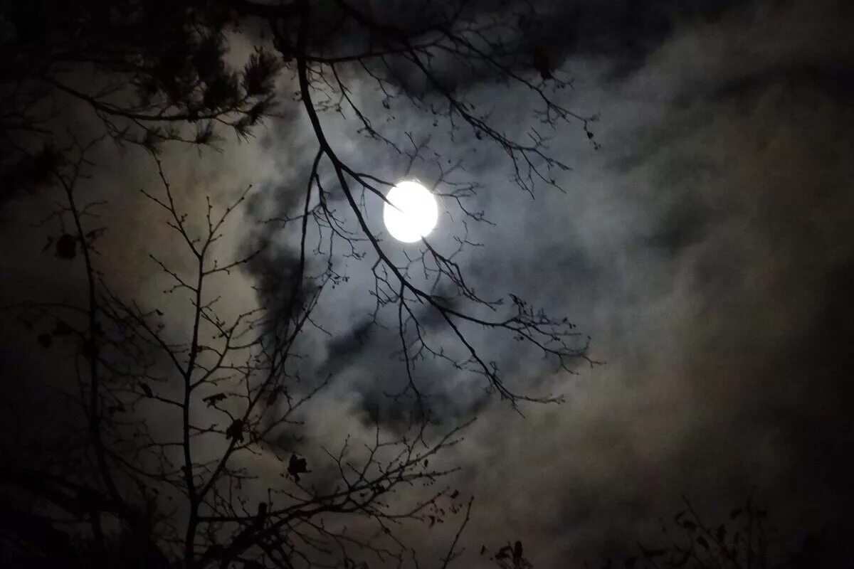луна сквозь тучи мрачные. луна сквозь тучи мрачные. луна как бледное пятно сквозь тучи мрачные. о желтая луна в ночи.