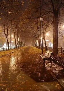 Осенними дождливыми вечерами