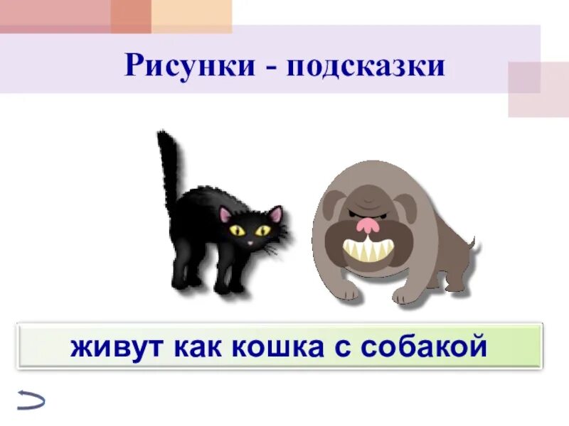 Как кошка с собакой значение. Как кошка с собакой фразеологизм. фразеологизмы про кошек. фразеологизм rfr rjirf c cj,frjq. жить как кошка с собакой фразеологизм.