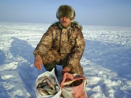 Овх новосибирск вести