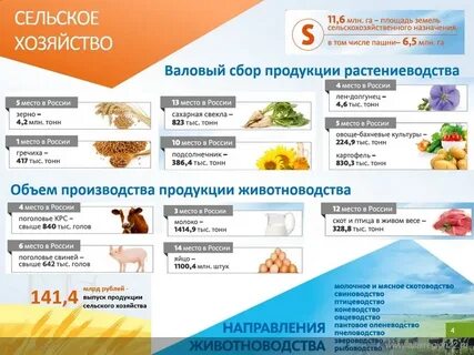 Экономика алтайского края 3 класс окружающий мир