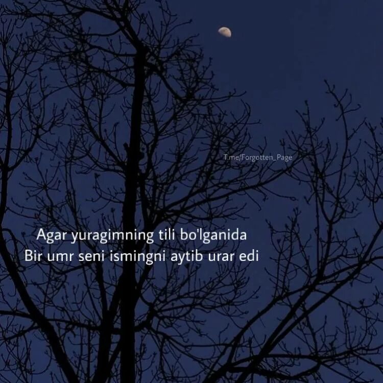 Sabretmek. Меланхоличные фразы. Can we pretend that airplanes in the night sky are like shooting stars. Forgotten page. Forgotten page.