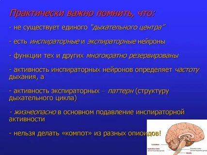 Нейроны дыхания